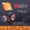 윌비스주 이미지