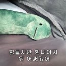 지망 이미지