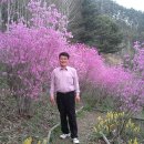 진달래약수터 이미지