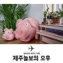 제주늘보의오후 이미지