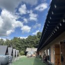 양평 비바코 한옥 스테이 🏕️ :: 도심 벗어나 촌캉스로 힐링하고 온 후기