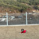 스테이한가로이 - 밀양시 산내용전3길 23-1 | 스테이한가로이