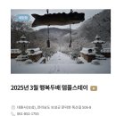 스테이 달(stay 달) 이미지