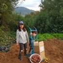 목골농장 이미지