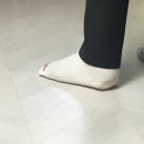 주식회사 농업회사법인 밀웜나라 | 부모님선물 원픽! 산양삼으로 건강기력 회복!