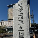 그랑포레 | 안동그랜드호텔 그랑포레홀 하객후기