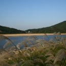 움직이는 마을 이미지