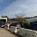 전원1단지어린이공원 이미지