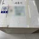 한밭떡집 - 동구 역전시장길 42 | 한밭떡집