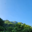 그린필로우 이미지