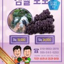 삼촌네야채청과