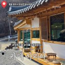 하너미로 이미지