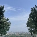 2826 | 방콕 호텔 이스틴 그랜드 파야타이 조식 수영장 슈페리어 룸 체크아웃 후 샤워가능 후기