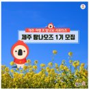 한라산렌트카㈜ | [제주여행종합쇼핑몰 탐나오] 서포터즈 제주 탐나오즈 1기 모집