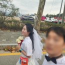 강원체육고등학교 | [마라톤 공유 :: 춘천마라톤] 마라톤의 꽃 2026 춘마 신청 접수 총정리🏃🏻‍♀️직접 뛰어본 춘마 10K 솔직후기🍂