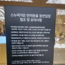 제주도 동쪽 겨울여행 &#34;스누피가든&#34; 가족 아이와 가볼만한곳