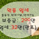 2019038 네이버블로그