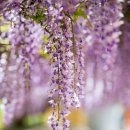 합도초등학교 이미지