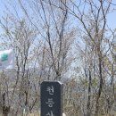 금당주유소 이미지