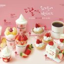 요거프레소 이미지