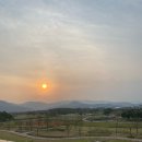 여행 3편] 경주역사유적지구 벚꽃길/경주핑크뮬리/보문호수/석빙고/월성혜자 후기! 경주 가볼만한곳 추천!