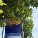 118 | 🏟️대전한화생명볼파크 | 한화볼파크 118구역 통로석 후기 | 먹거리 추천