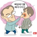국민빠마 이미지