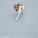 다온멍스쿨 이미지