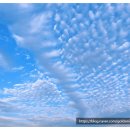 송이하랑 이미지