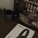 (주)팔레스에어코리아 | 무선 가성비 헤드셋 추천 소니 WH-CH520 블랙 입문 후기 (feat. 내돈내산)