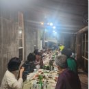 24회 남이섬 추억여행 종합편(250912~13) 이미지