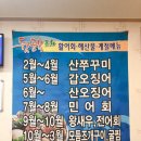 뒷골목회포차