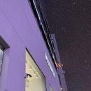 <b>무신사</b><b>스토어</b> 강남 입접 브랜드 총정리