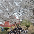 반림중학교 | 밀린 블로그 벼락치기 투! ✌︎(￣- ￣)