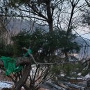 로뎀동물병원 이미지