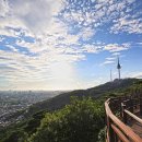 S.H 타워 이미지