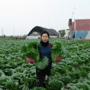 진가네농장 이미지