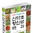 우리산약초 이미지