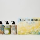 센티드SCENTED 이미지