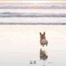 멘야마쯔리 루원시티점 후기