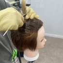 (주)대한파마 | 부천헤어학원 트렌드파마 수강!