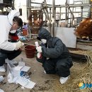 기세축산 이미지