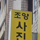 조양스튜디오 네이버블로그