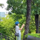 스마트폰활용 | 도봉문화정보도서관 스마트폰 활용 수업 후기 &amp; 블로그 챌린지 도전!
