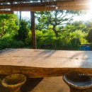 용구니아지트 이미지