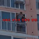 하강화분