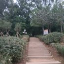 염창 다목적체육관 이미지