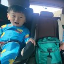 세븐일레븐진하비치점 이미지