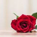 내가만약 이미지