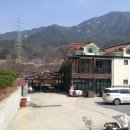 장령산훼미리